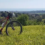 Agora A 2 Minuti Dalla Valle Dei Templi E 5 Minuti Dal Mare 3* 阿格里真托