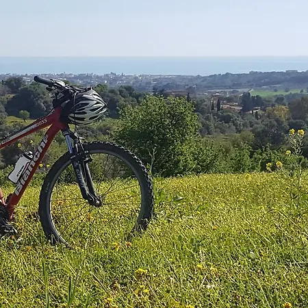 Agora A 2 Minuti Dalla Valle Dei Templi E 5 Minuti Dal Mare 3* 阿格里真托